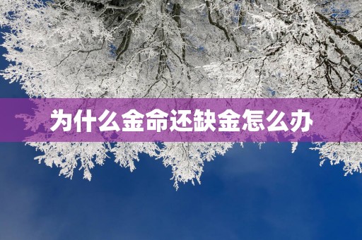 为什么金命还缺金怎么办