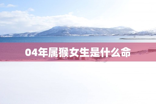 04年属猴女生是什么命