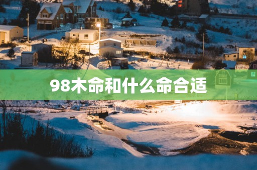98木命和什么命合适