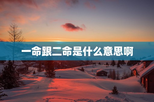 一命跟二命是什么意思啊
