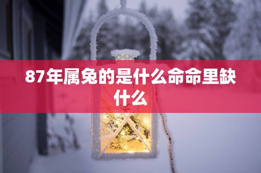 87年属兔的是什么命命里缺什么