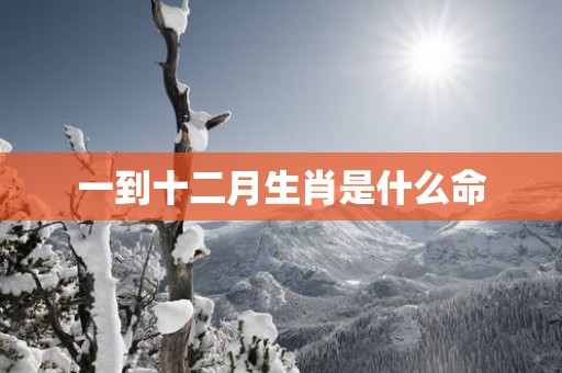 一到十二月生肖是什么命