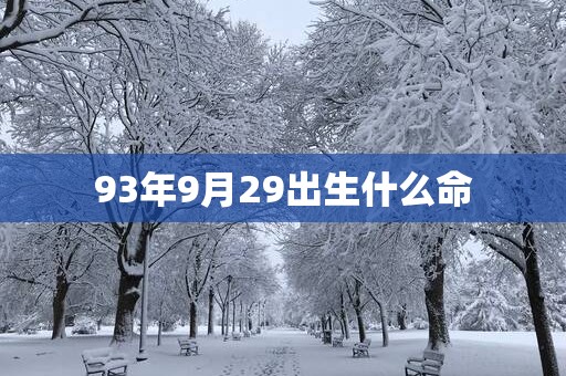 93年9月29出生什么命