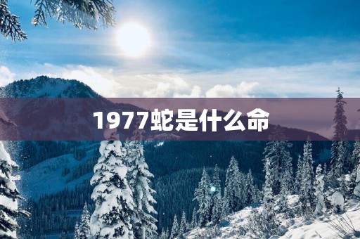 1977蛇是什么命