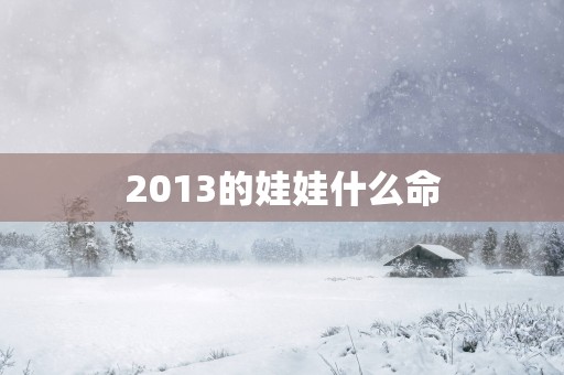 2013的娃娃什么命