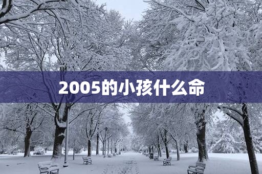 2005的小孩什么命