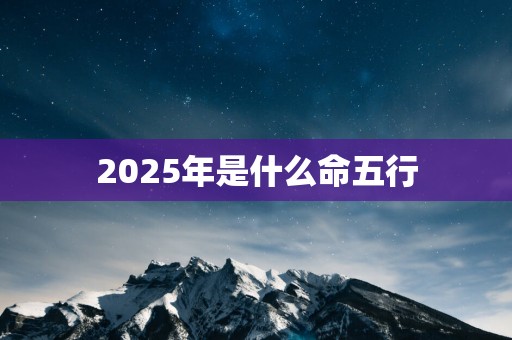 2025年是什么命五行