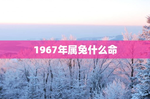 1967年属兔什么命
