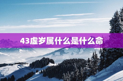 43虚岁属什么是什么命