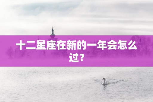 十二星座在新的一年会怎么过？