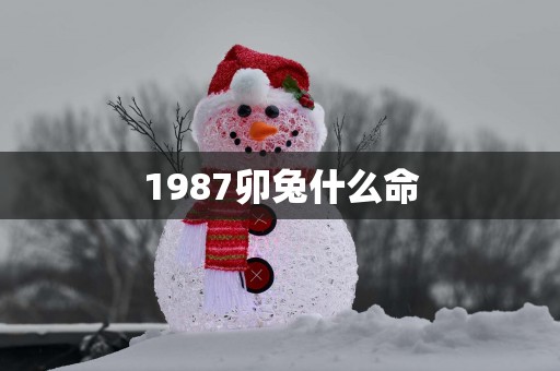 1987卯兔什么命