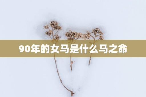 90年的女马是什么马之命