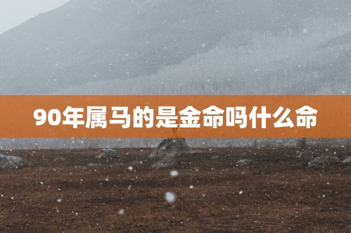 90年属马的是金命吗什么命
