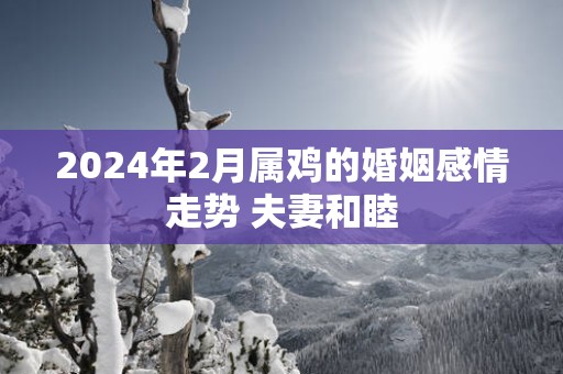 2025年2月属鸡的婚姻感情走势 夫妻和睦
