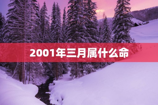 2001年三月属什么命