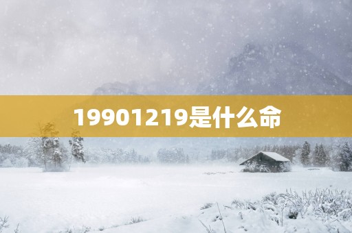 19901219是什么命