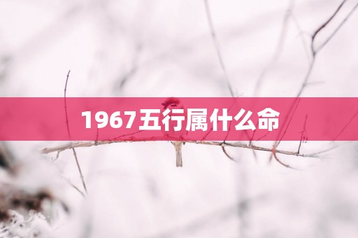 1967五行属什么命