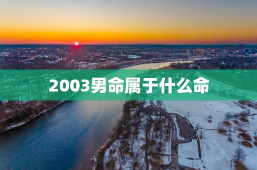 2003男命属于什么命