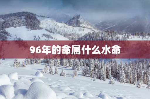 96年的命属什么水命