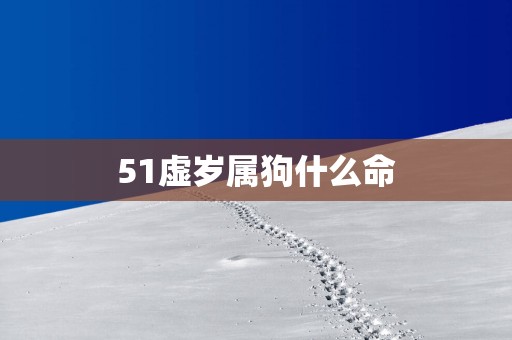 51虚岁属狗什么命