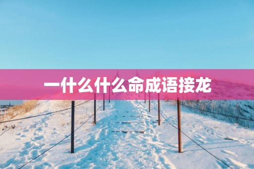 一什么什么命成语接龙