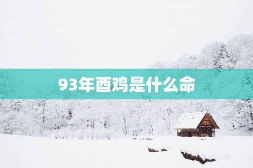 93年酉鸡是什么命