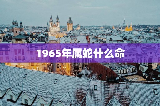 1965年属蛇什么命