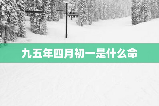 九五年四月初一是什么命