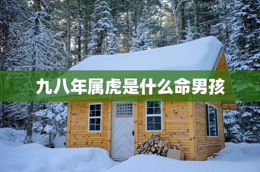 九八年属虎是什么命男孩