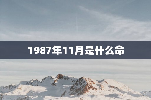 1987年11月是什么命