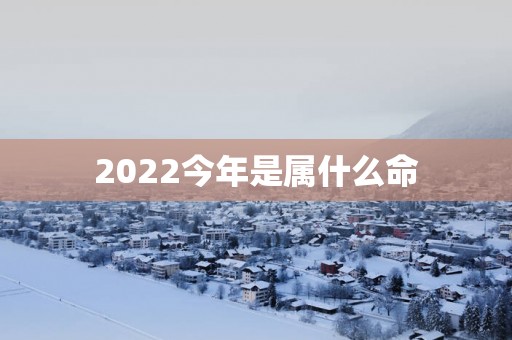 2025今年是属什么命