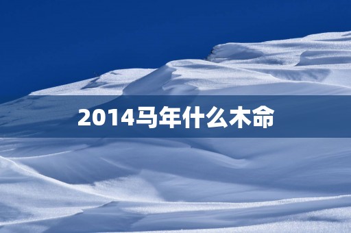 2014马年什么木命