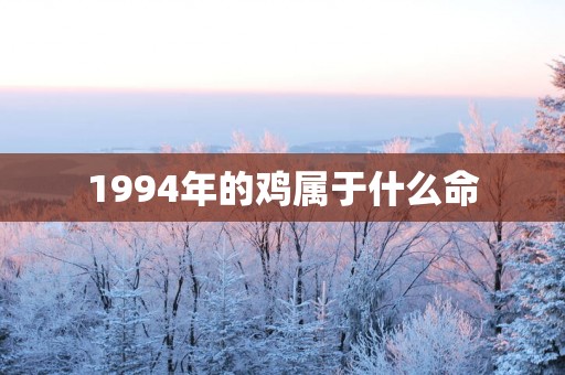 1994年的鸡属于什么命