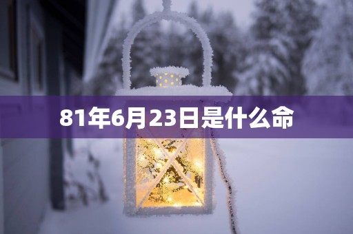 81年6月23日是什么命