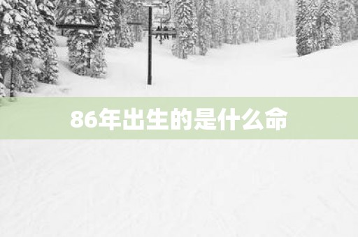 86年出生的是什么命