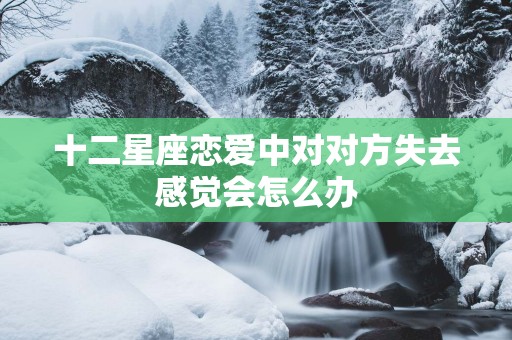 十二星座恋爱中对对方失去感觉会怎么办