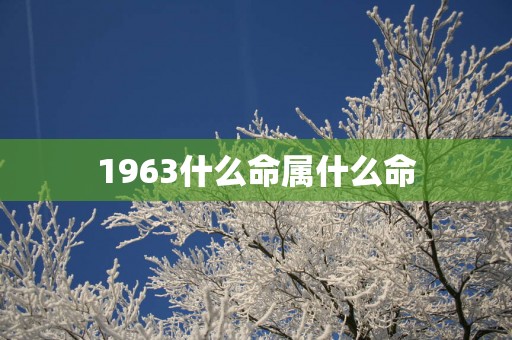 1963什么命属什么命