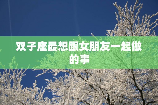 双子座最想跟女朋友一起做的事