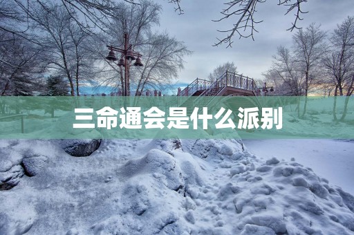 三命通会是什么派别