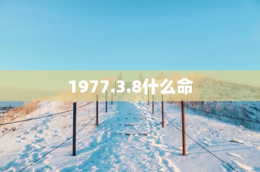 1977.3.8什么命