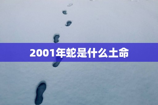 2001年蛇是什么土命