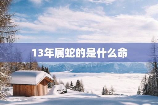 13年属蛇的是什么命
