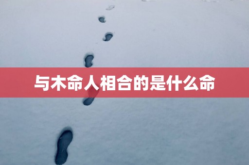 与木命人相合的是什么命