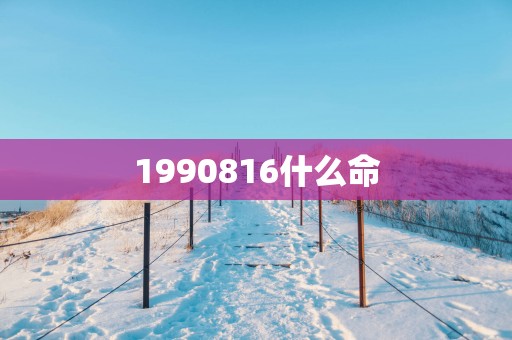 1990816什么命