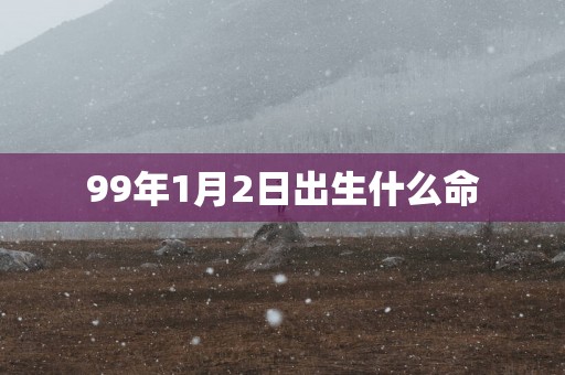 99年1月2日出生什么命