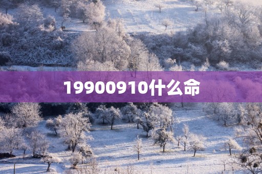 19900910什么命