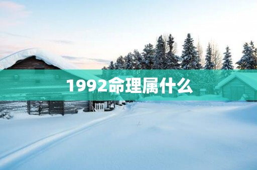1992命理属什么