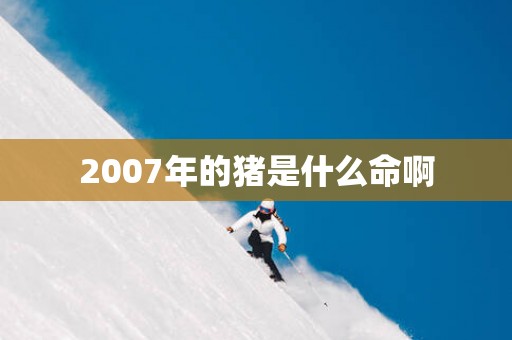 2007年的猪是什么命啊