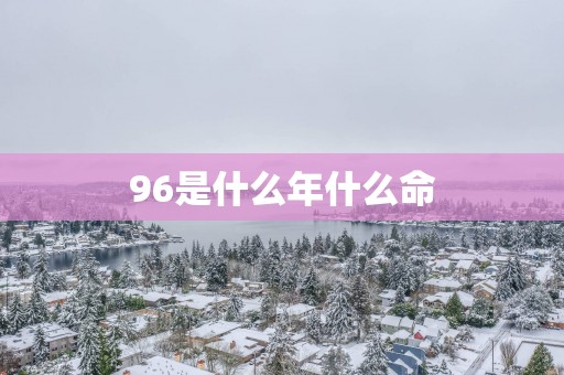 96是什么年什么命
