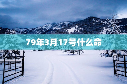 79年3月17号什么命